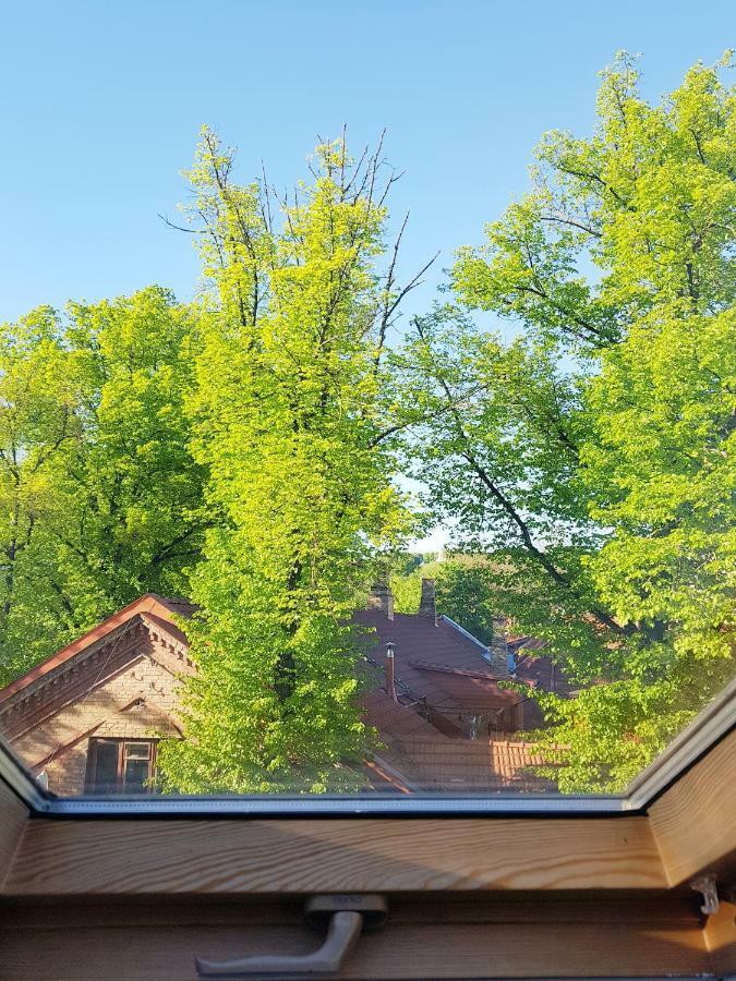 Exceptional Uzupis Bridge 3 Bedroom Apartment Вильнюс Экстерьер фото